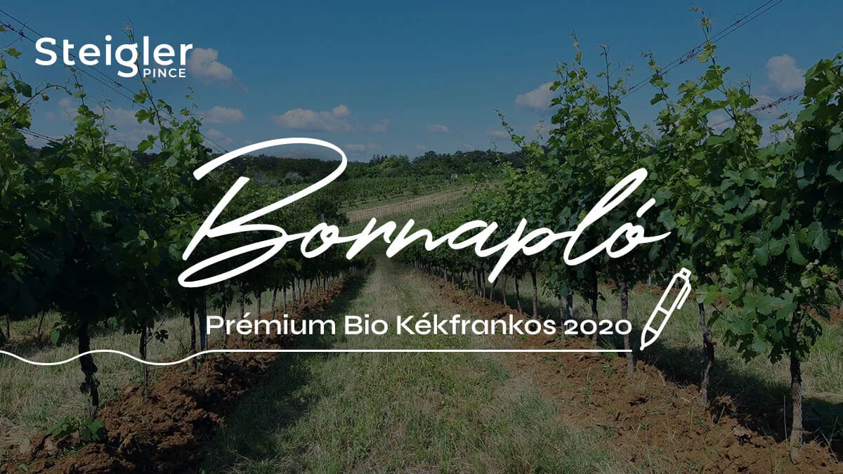 Cover-bornaplo-steigler