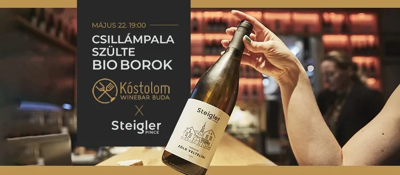 csillampala-szulte-bio-borok