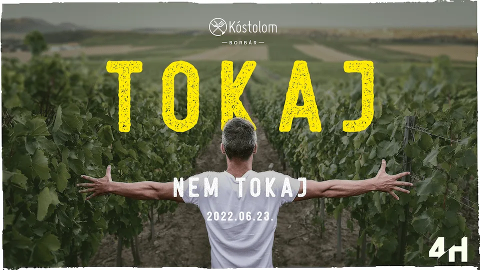 4haz-tokaj-cover-kostolomBorbar-websize