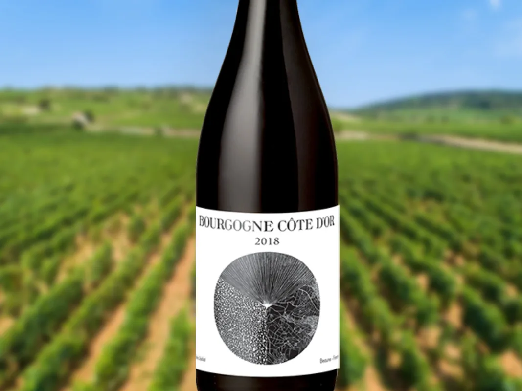 Louis Jadot | Bourgogne Cote D’Or 2020 